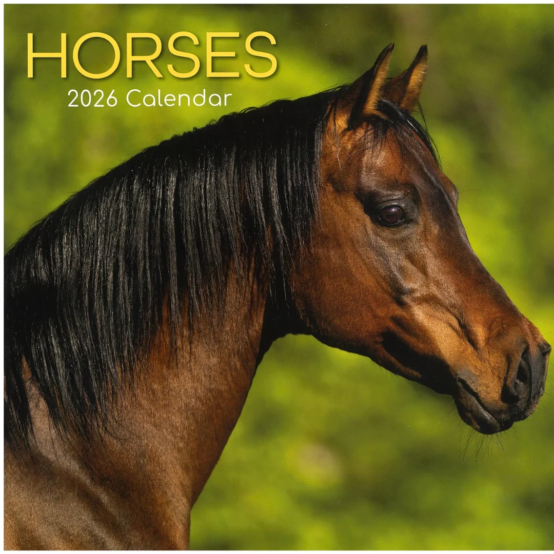 2026 Horses Calendar