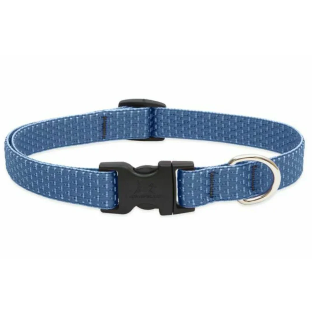 28cm Small Dog Collar