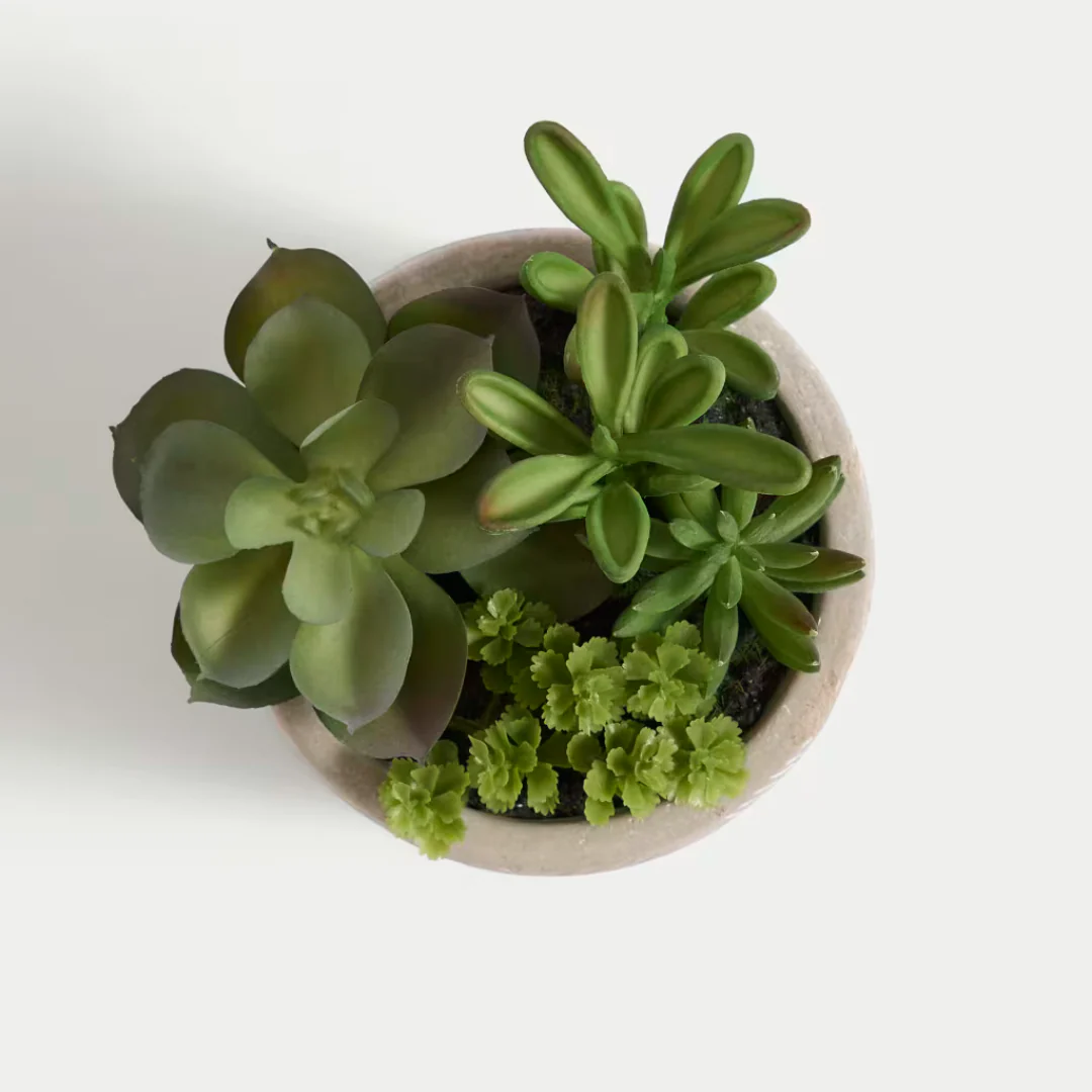 Artificial Mini Succulent in Concrete Pot - Image 2