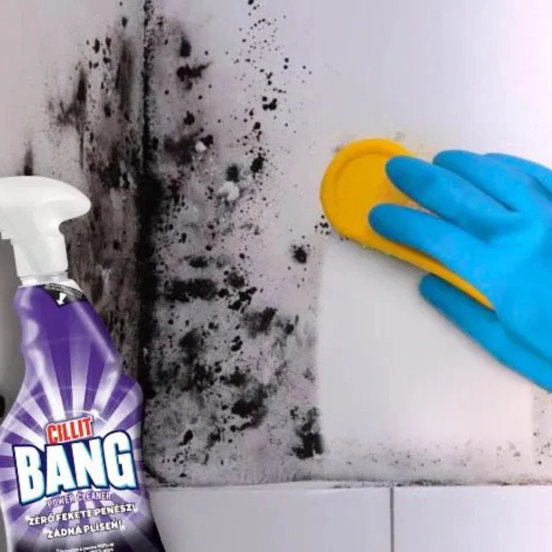 Black Mould Remover 750ml by Cillit Bang - Image 2