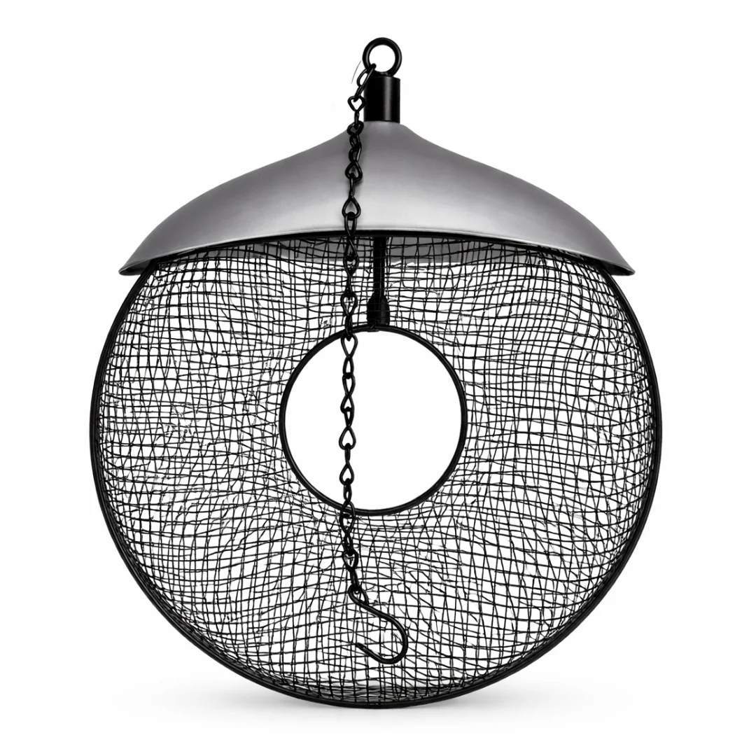 Deluxe Donut Suet and Peanut Feeder