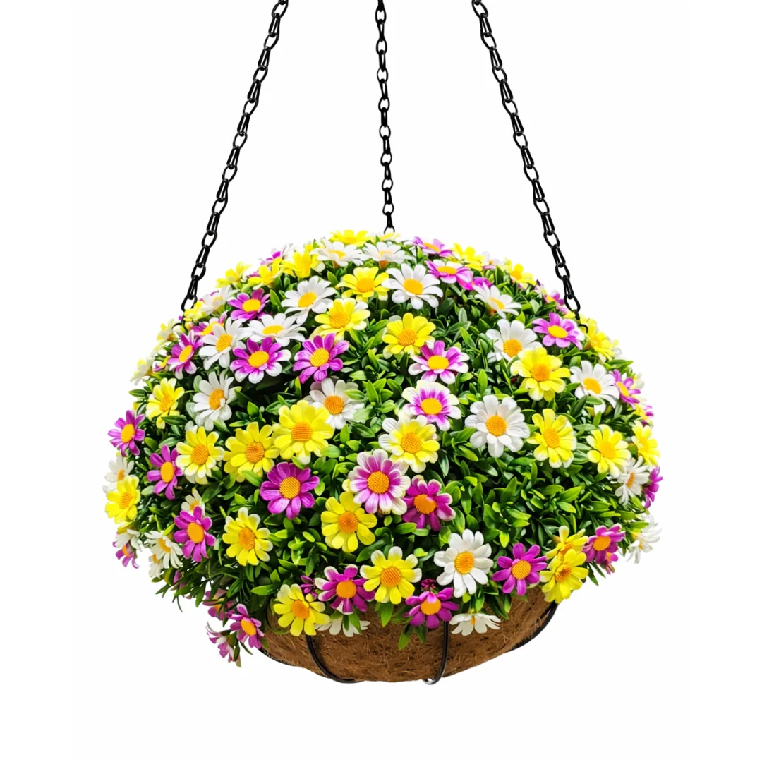 Hanging Basket Aptenia and Daisy
