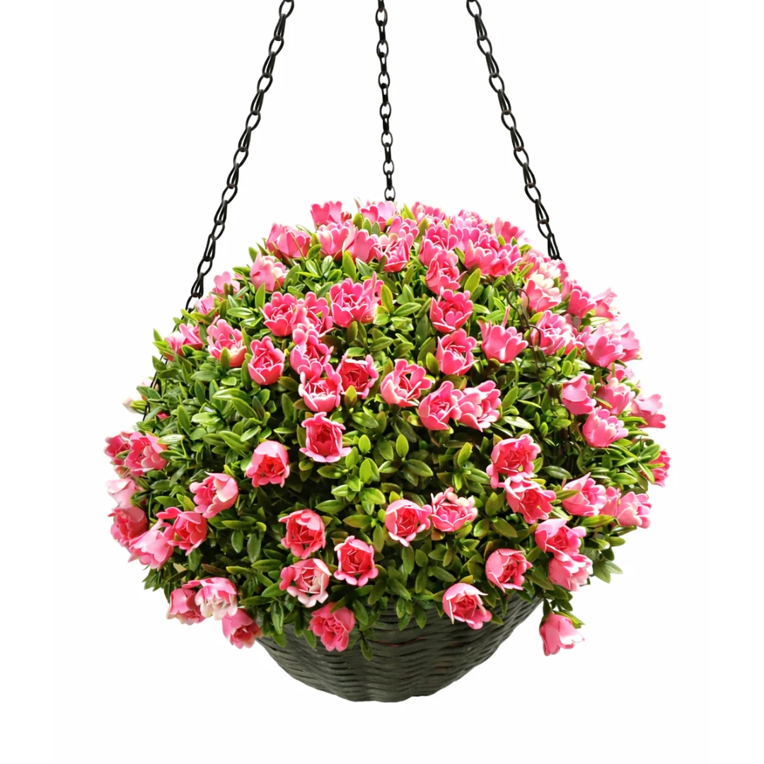 Hanging Basket Aptenia and Rose - Image 2