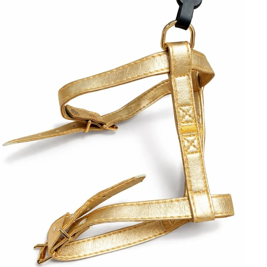 Luxury Pet Harness Gold (35-50 cm)