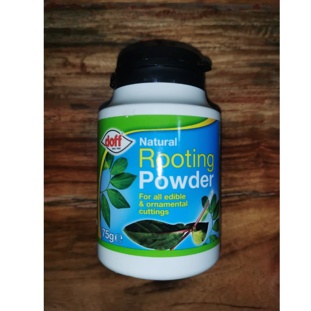 Natural Rooting Powder 75g - Image 3