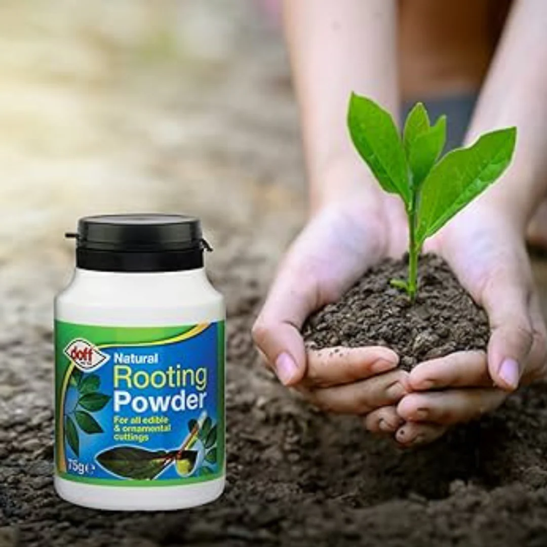 Natural Rooting Powder 75g - Image 4