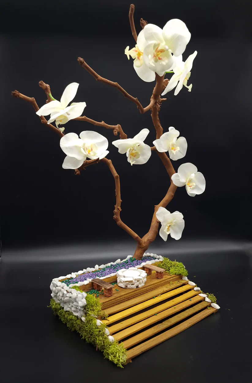 Orchid Bonsai
