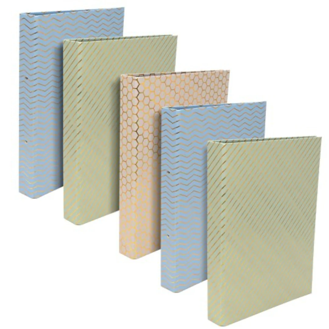 Pukka Haze A4 Ringbinder File – Assorted Colours