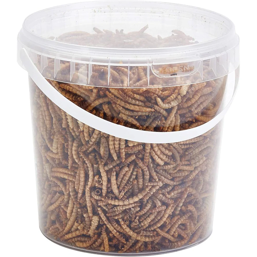 Small Mealworms 1kg Bucket