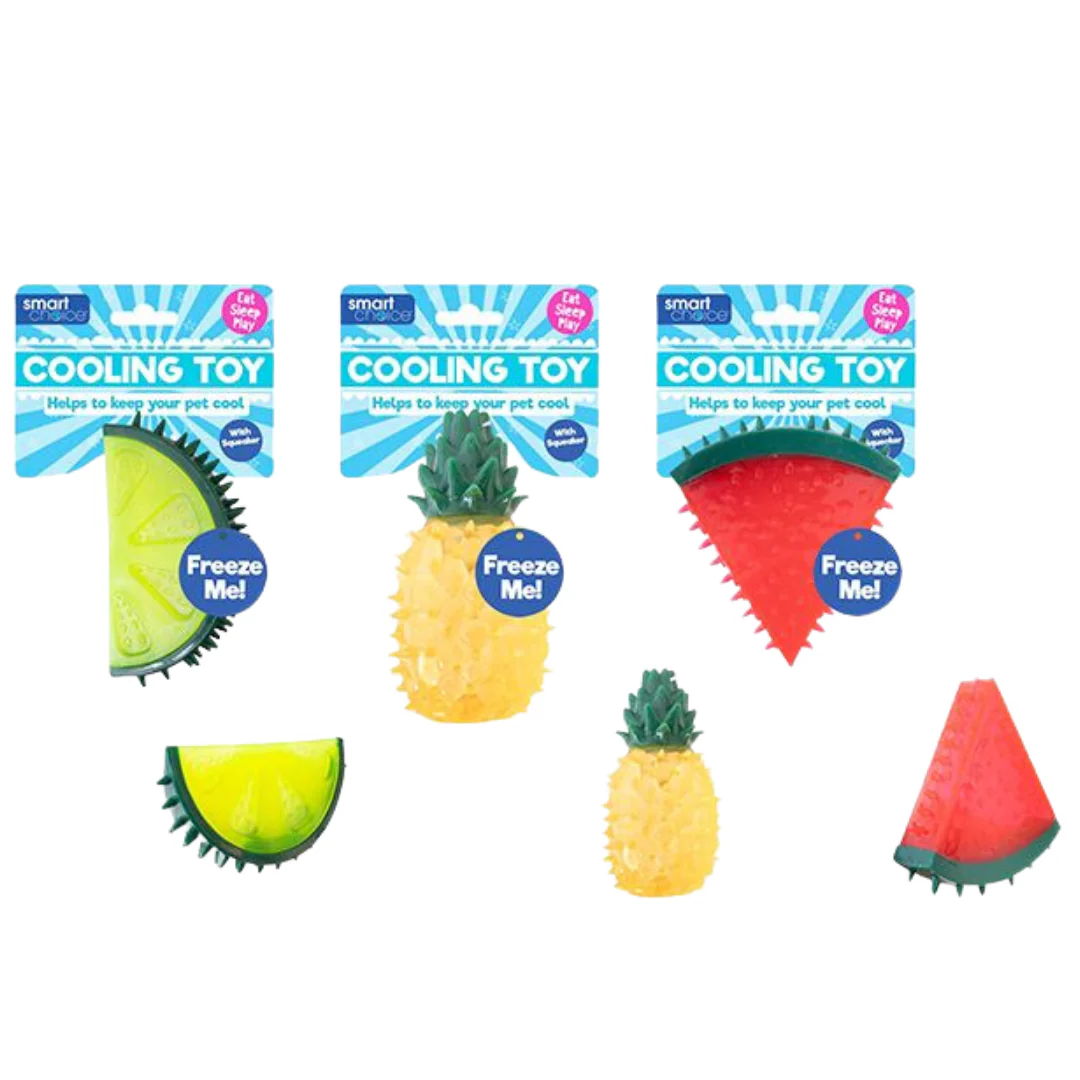 Smart Choice Summer Cooling Fruit Rubber Dog Toy