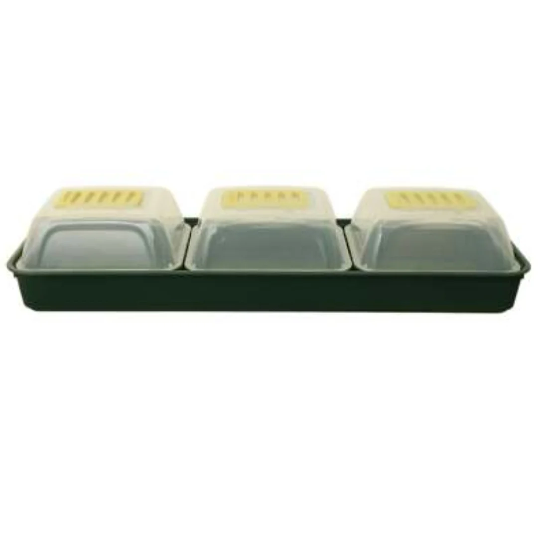 Windowsill Propagator Kit